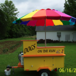 Picture 6