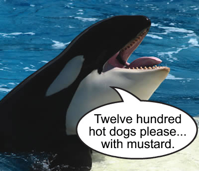 hot dog cart whale