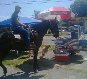 horse at a hot dog cart
